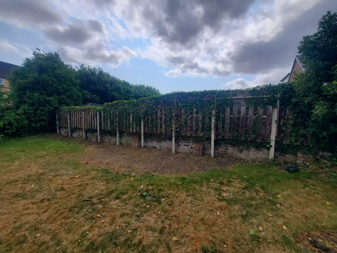 Bank in West Kirby cleared of ivy and bramble back to the fence